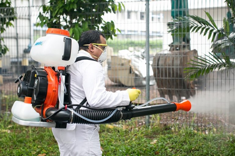 Buy Backpack ULV Mist Blower For Mosquito Control - Agrofog