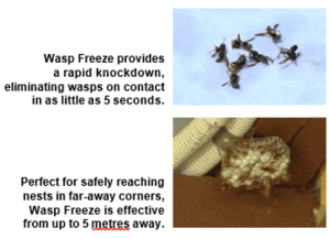 Wasp Freeze Effective From 5 Metres