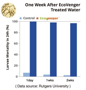 EcoVenger Mosquito Repellent After One Week Treated Water